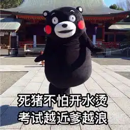 edg是什么意思表情包洗