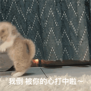 溜了表情包素材表情