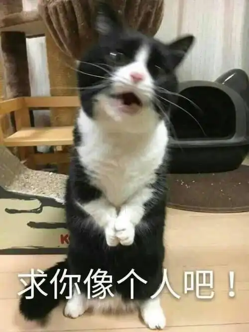  朋友问我你是魔鬼吗是什么意思