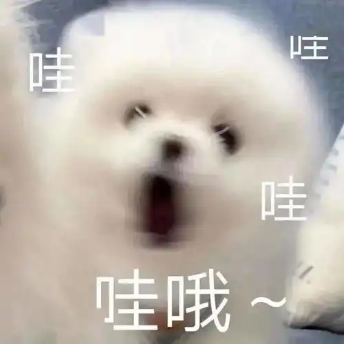 约表情包杜蕾斯这只