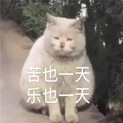  请允许我做一个悲伤的表情包图片
