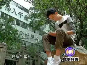  凭表情包赚50万是真的吗是哪一套微信表情