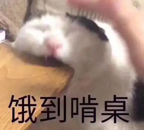 真德秀表情包卡路里