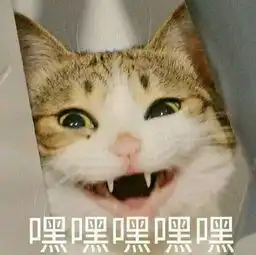  强能量这把霰弹枪怎么有点不一样