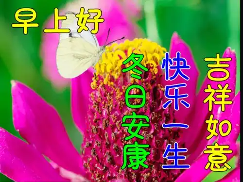  11月29日早上好动态表情图片大全,早晨好动图美图大全