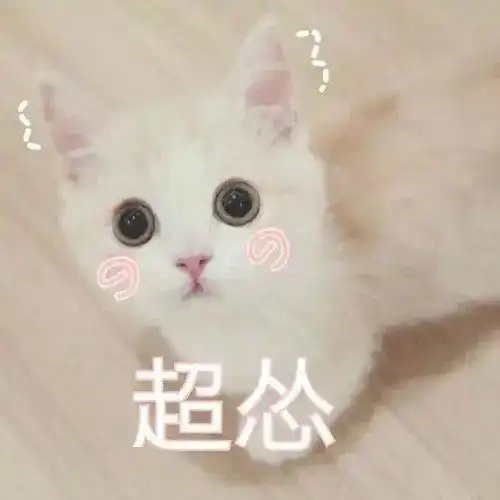  受疫情影响,21考研还会网络复试吗