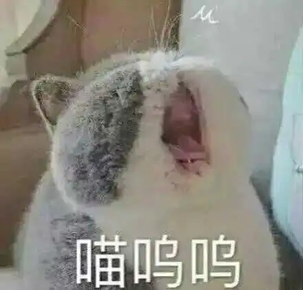  你所见过的同一个人差距最大的两张照片,到底有多大