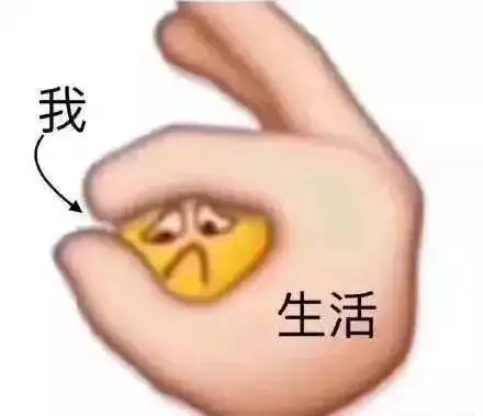  2018全国最差大学宿舍重磅出炉,山东省喜提第一24人睡一间房,1人上床,4床齐晃
