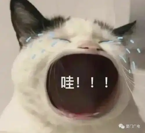  注意阵雨降温即将抵达厦门未来天气......