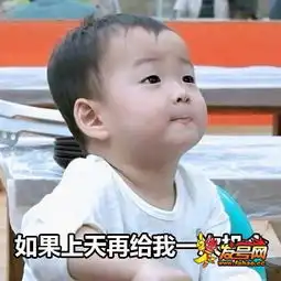 表情包战争图鉴宋民国