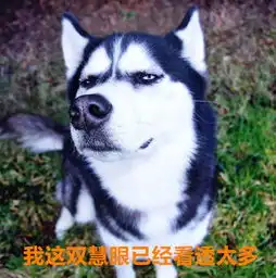  二哈是上帝派来搞笑的真的受不了这脑洞...