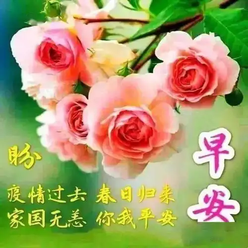  早安问候语动态表情图片,最新版天冷早安慰问祝福语短信