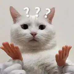  沙雕猫猫表情包