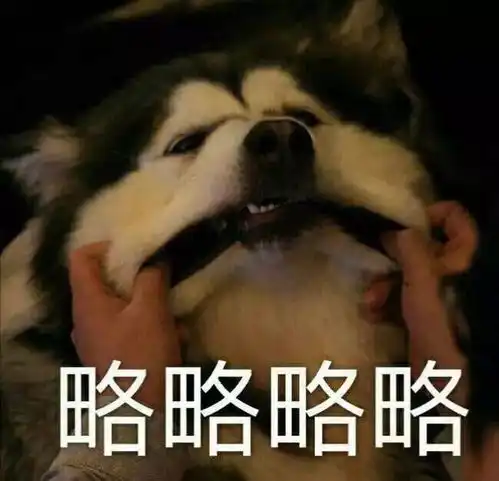  爱情和面包怎么选