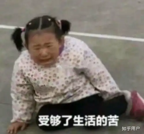  去电子厂打暑假工是什么感觉