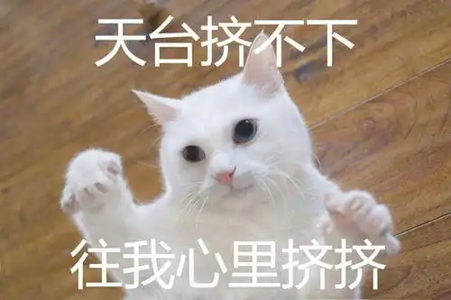 世界杯土情话,这球真甜