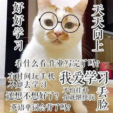  拼多多新手小白干货分享