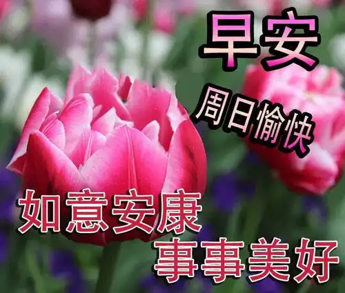  晨曲,早安