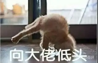  电话,地址,价格,营业时间南宁美食