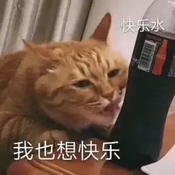  表情包和我一起做鸡好不好