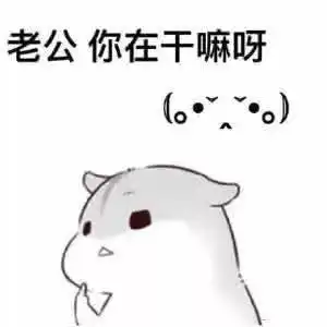 好不好嘛表情包撒娇胖子