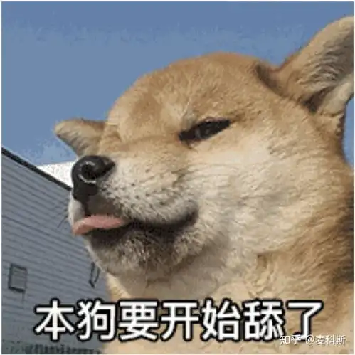  你有哪些让你一秒变开心的表情包