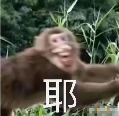  豪横丨银川又双叒叕有人中奖了644万谁的