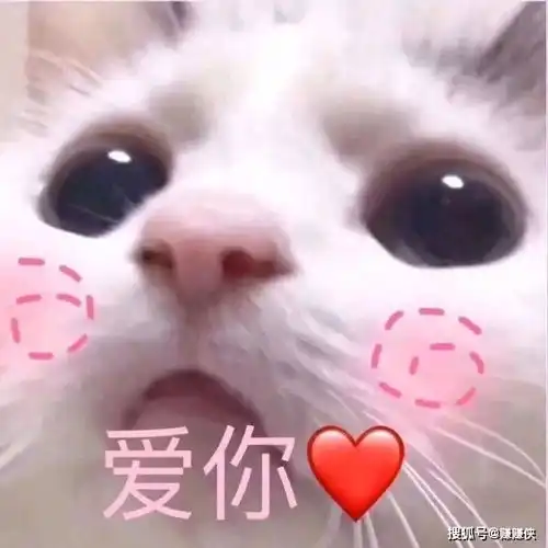  搞笑表情包图片搞笑我现在只想搞钱