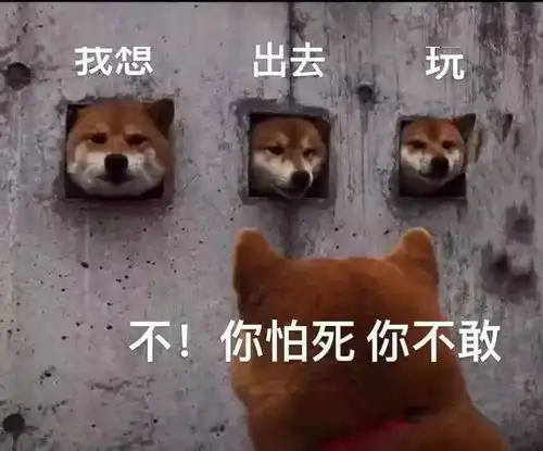  电光学子假期新玩法这份寒假作业别忘了带回家