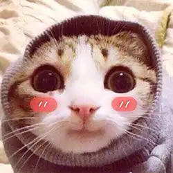  绫濑遥主演日剧太太请小心轻放贡献模范回答当现女友问起前任时怎么办
