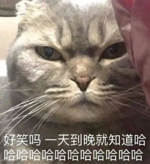  日月当空空竹篇终