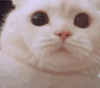  表情包杂集感觉到不妙