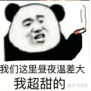  如何变得沙雕有趣