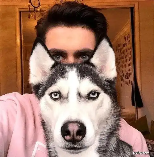  你和狗子有狗主相吗小哥养了一只二哈,他们越来越相像了