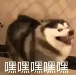 发工资表情包沙雕会计事