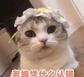  猫奴,就是表面是大爷实则是孙子