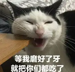 猫这里有小鸡鸡耶