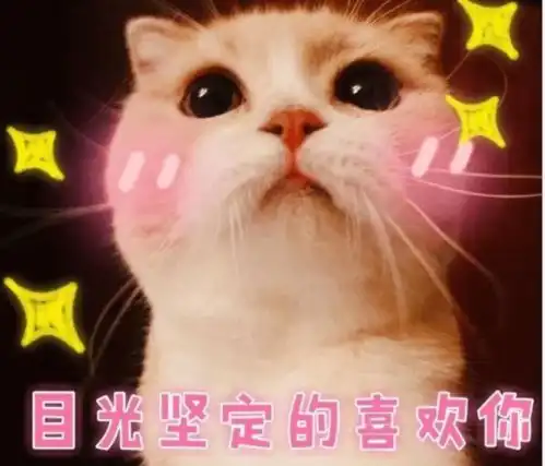  一个合格铲屎官绝对经历过的养猫瞬间你懂的