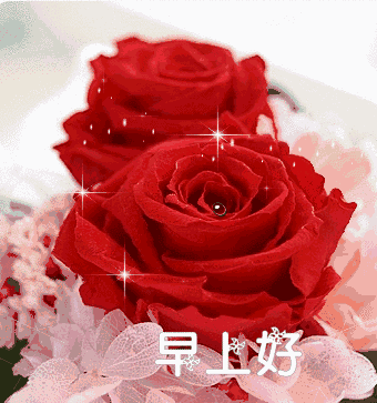 早上好表情包可爱鲜花