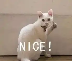  又来个霸座婶如果在这个国家,霸座可能会被直接拖出去