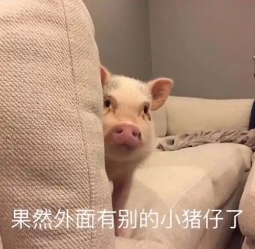  哈哈哈哈哈哈哈哈哈哈,收藏许久的搞笑表情包分享一下