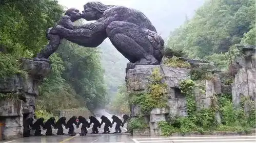  既要玩也要学探燕追野人,神农架生态科考营带你感受别样风情