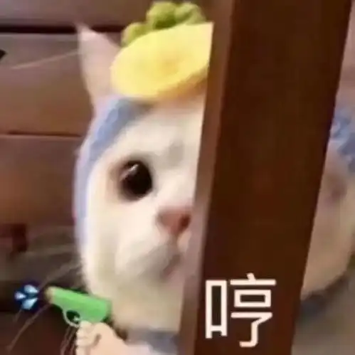  优质动漫情头就算遇不到别人,也别再喜欢他了