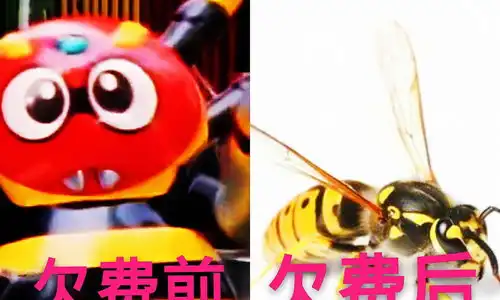  铁甲小宝欠费后,卡布达我能忍,鲨鱼辣椒我忍了,图4让人笑喷163手机网易网