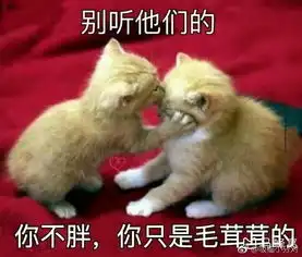  想今年1月份去哈尔滨两天然后去漠河23天,怎么安排