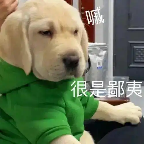  阴阳怪气动物系列表情