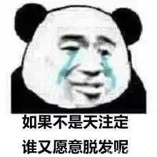  好物分享育发防脱发洗发水推荐,秃头女孩请码住