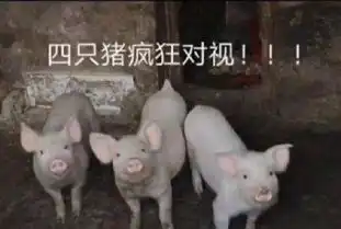  怼人表情包来呀斗图呀反正你斗不过我