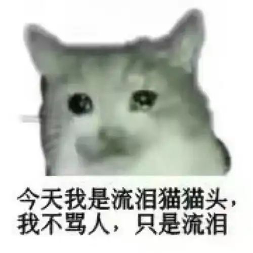 加菲猫表情包小视频抖音