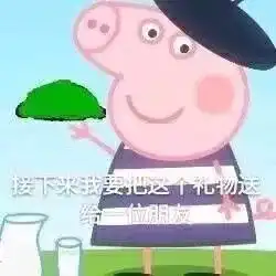  我不知道你在说什么,我只是一只小猪啊